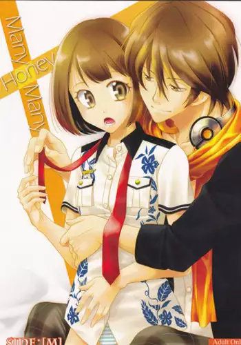 (Love ♥ Collection 2016 in Summer) [Xyzyroh, Enishing (Sanase Nasa, Enishi Nasa)] Many Many Honey (Scared Rider Xechs)