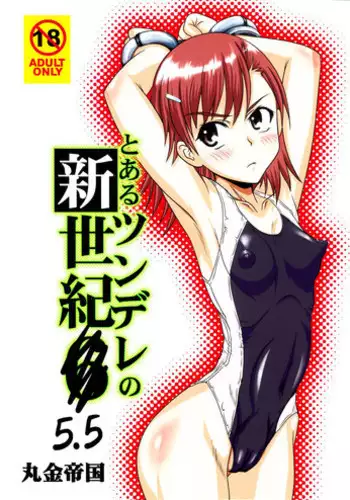 [Marukane Teikoku (Aim)] Tsundere Shinseiki 5.5 (Toaru Kagaku no Railgun)