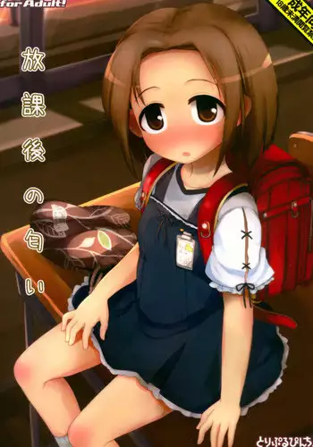 (C90) [Triple Pinch! (Hikami Izuto)] Houkago no Nioi