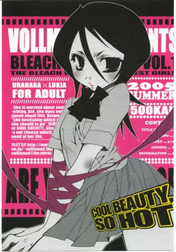 (C68) [VOLLMOND (Ruri)] COOL BEAUTY, SO HOT (Bleach)