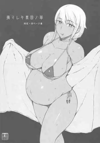 Tsumareta Ikoku no Hana Settei Botsu Page Shuu