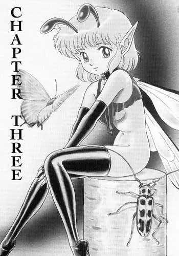 Bondage Fairies Vol2 - CH3
