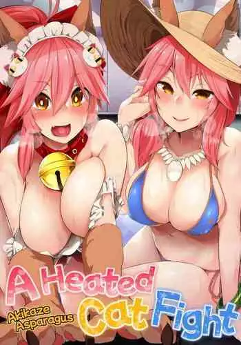 Hatsujou Cat Fight | A Heated Cat Fight
