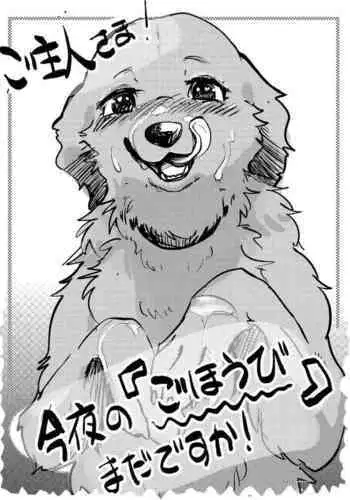 Goshujin-sama! Konya no "Gohoubi" Mada desu ka!