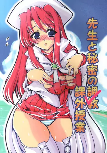 (CT5) [Transistor Baby (Hata)] Sensei to Himitsu no Kagai Jugyou (Summon Night 3)