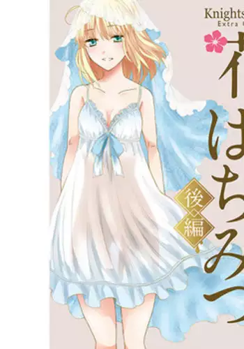 (SUPER25) [BLOW (Umehara Suzuko)] Hana to Hachimitsu Kouhen (Fate/Zero) [Sample]