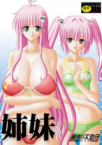 [Bousou!! Fuhatsu-dan (Takai Biki)] Shimai (To LOVE-Ru)