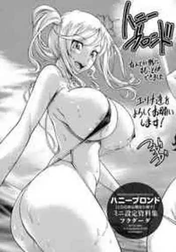 [Fukudahda] Honey Blonde Toranoana Gentei Shousasshi Mini Settei Shiryoushuu