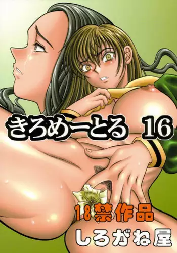(CR34) [Shiroganeya (Ginseiou)] Kilometer 16 (Maria-sama ga Miteru)