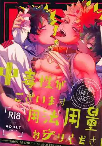 Chuudokusei ga Gozaimasu Youhou Youryou o Mamori Kudasai