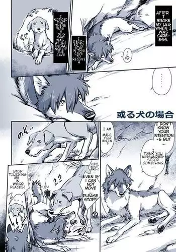 Aru Inu no Baai | A certain dog's situation