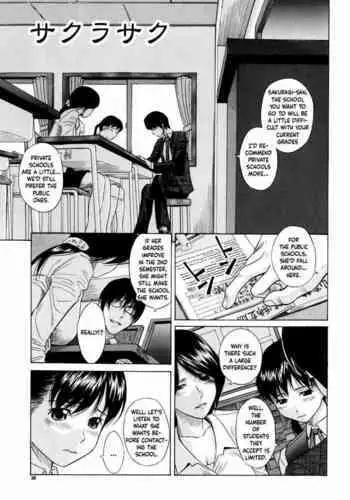 The Cherry Blossom Blooms | Sakura Saku